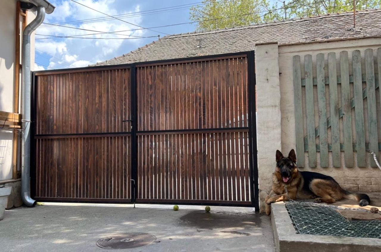 Sremski Karlovci Center Homestay Exterior photo